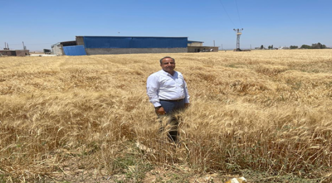 TMO hububat alım fiyatlarını artırdı