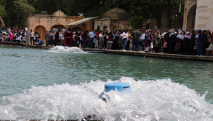 Urfa'da 4 vatandaş hayatını kaybetti