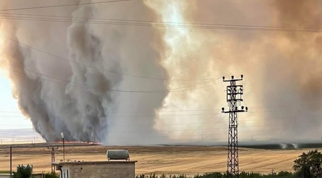 Urfa"da bin 500 dönüm arazide yangın 