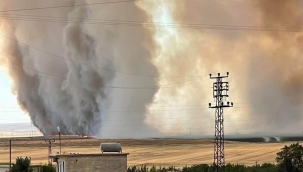 Urfa"da bin 500 dönüm arazide yangın 