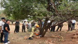 Urfa'da OGM gelir getirici alanlarda eğitim verdi