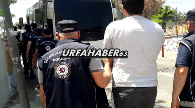 Urfa polisinden göçmen kaçakçılığı operasyonu 