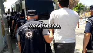 Urfa polisinden göçmen kaçakçılığı operasyonu 