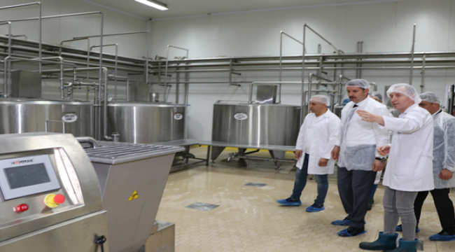Vali Ayhan, OSB'de Fabrikaları İnceledi