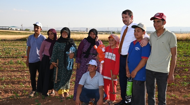 Vali Ayhan, Pamuk tarlasında çapa yaptı 