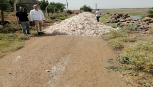 Viranşehir Belediyesi Hizmet Atağını Sürdürüyor