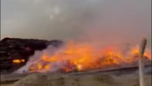 Viranşehir'de fabrika yangını!