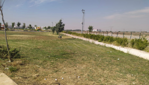 Viranşehir'de Yabani Ot Temizliği İçin Yoğun Mesai 