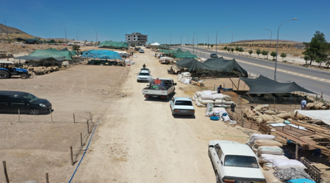 Büyükşehir'den Kurban Satış Noktalarında İlaçlama 