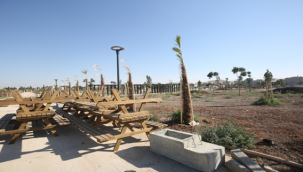 Eyyübiye Millet Bahçesi Ağaçlandırması Tamamlandı