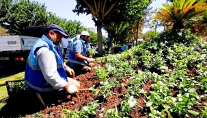 Eyyübiye parkları çiçekleniyor