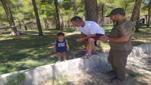 Şanlıurfa'da DKMP ekipleri ormanlık alanlarda denetim yaptı