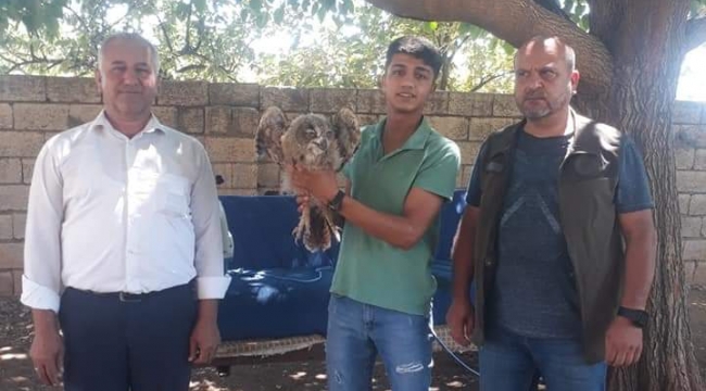 Şanlıurfa'da duyarlı vatandaşlar tarafından bulundu 