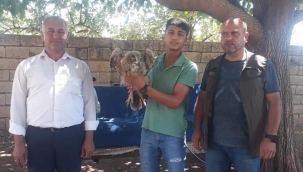 Şanlıurfa'da duyarlı vatandaşlar tarafından bulundu 