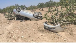 Şanlıurfa'da otomobil fıstık ağaçlarına çarptı 