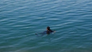 Şanlıurfa'da sulama kanalına düşen çocuk kayboldu 