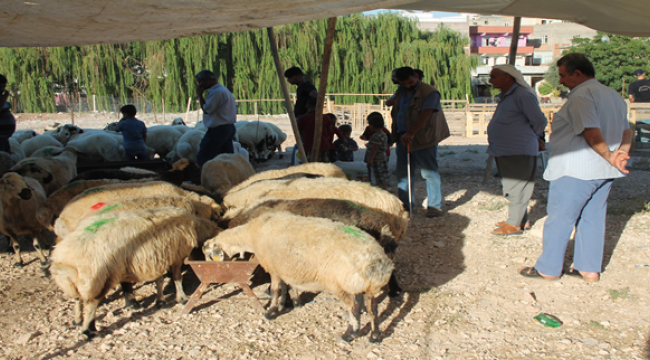 Şanlıurfa'da vatandaşların kurban kesim telaşı başladı