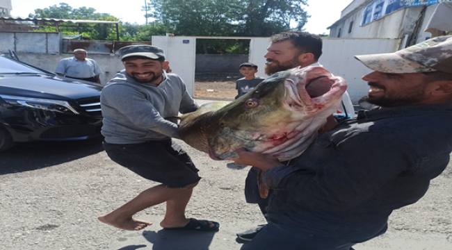 Şanlıurfalı balıkçıları 87 kilo ağırlığında balık yakaladı 