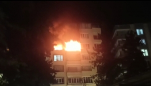 Urfa"da korkutan yangın 