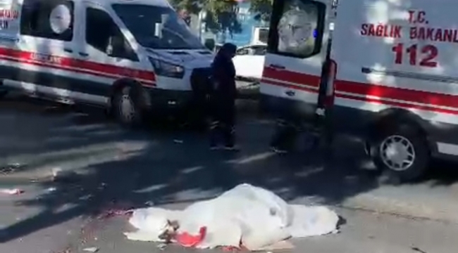 Urfa"da motosiklet ile kamyonet çarpıştı, 2 ölü 