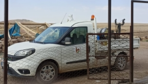 Viranşehir'de ilaçlama çalışmaları sürüyor 