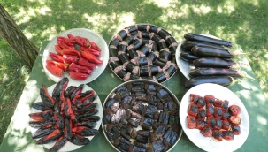 Başkan Beyazgül, ''Şanlıurfa mutfağı tarihin sıfır noktasıdır''