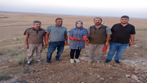 Nesli tükendi tükenecek! olan çöl varanı Şanlıurfa'da görüldü