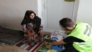 Şanlıurfa Büyükşehir Belediyesinden Yaşlı Çınarlara Hastane Yatağı