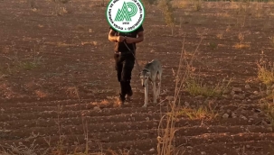 Şanlıurfa'da 2 kişi suçüstü yakalandı!