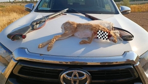 Şanlıurfa'da Kaçak avcılara ceza yağdı 