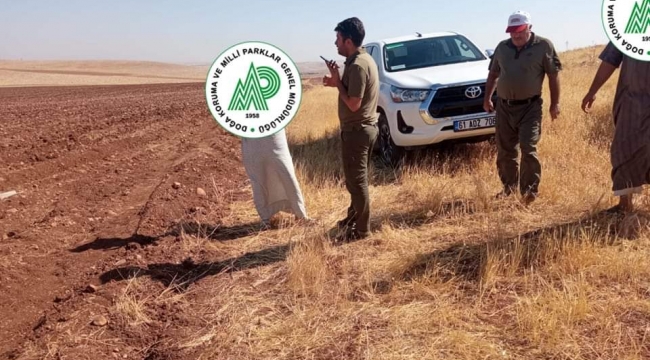 Şanlıurfa'da kaçak avcılara ceza 