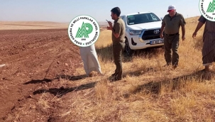 Şanlıurfa'da kaçak avcılara ceza 