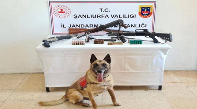 Şanlıurfa'da kaçak silah operasyonu