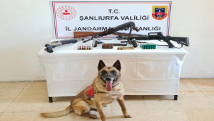 Şanlıurfa'da kaçak silah operasyonu