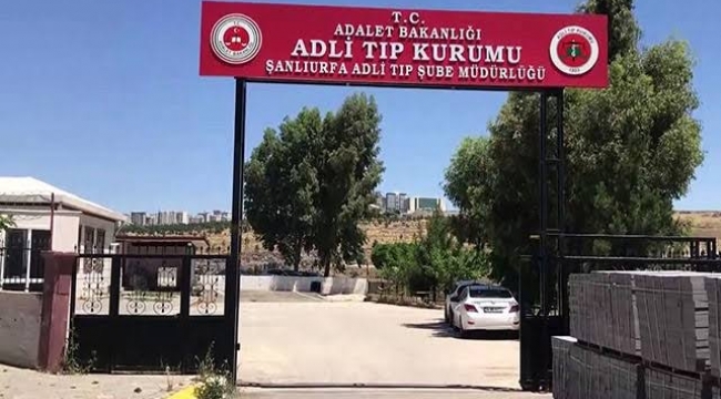 Şanlıurfa'da seyir halindeki kamyonun altına attı 