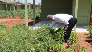 Şanlıurfa'da Sıcaktan Bunalanların Adresi Hobi Bahçeleri Ve Belediye Havuzları Oldu