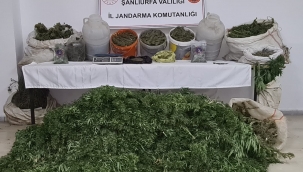 Şanlıurfa'da tarihi eser ve uyuşturucu operasyonu 