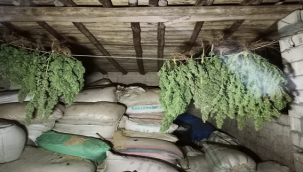 Şanlıurfa'da uyuşturucu operasyonu