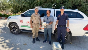 Suruç'ta yaralı olarak bulundu 