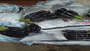 Suruç'un siyah altınına talep yüksek