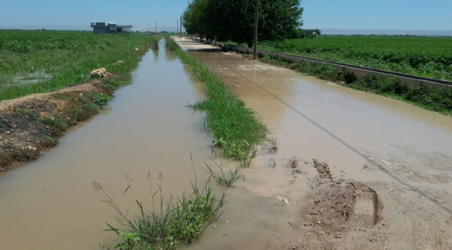 Tarlaya verilen fazla su nedeniyle köy yolları kapandı