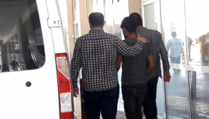 Urfa'da hırsızlık zanlıları yakalandı