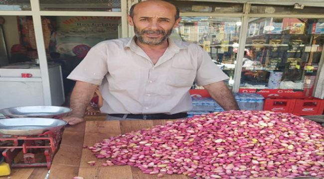 Urfa Fıstığı Tezgâhlarda Yerini Aldı
