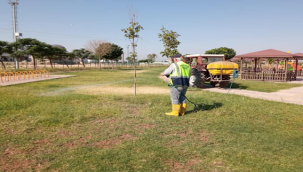 Viranşehir'de İlaçlama Çalışmaları Hız Kesmeden Devam Ediyor