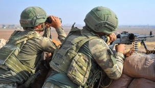 Barış Pınarında etkisiz hale getirildiler