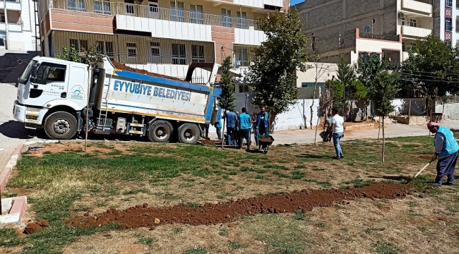 Eyyübiye Yeşillenmeye Devam Ediyor