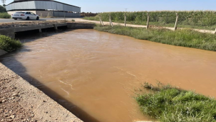 Harran'da Erozyonu Bilinçsiz Sulama Tetikliyor
