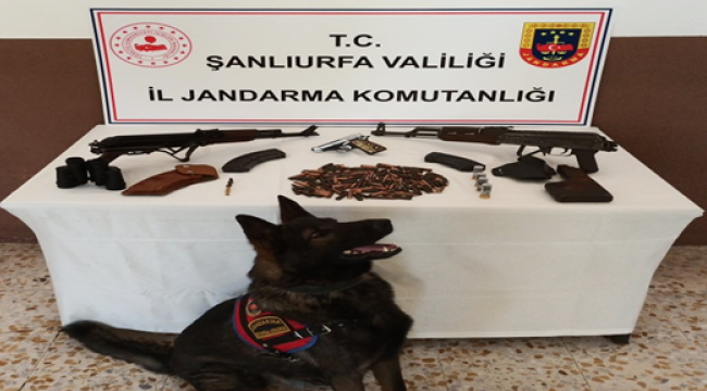 Şanlıuırfa'da çok sayıda silah ele geçirildi