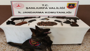 Şanlıuırfa'da çok sayıda silah ele geçirildi
