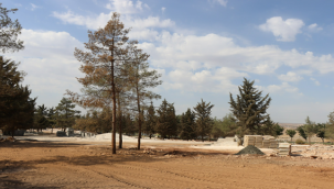 Şanlıurfa Büyükşehir Belediyesi'nden Bir Mesire Alanı Daha 